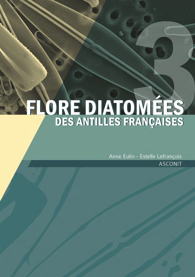 Flore diatomées des Antilles françaises - Volume 3
